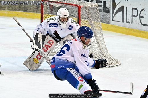2024-11-23 Fassa Falcons-Mastini Varese 01519